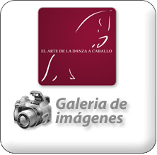 Galería de Imágenes