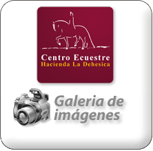 Galería de Imágenes