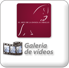 Galería de Vídeos