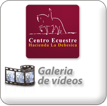 Galería de Vídeos