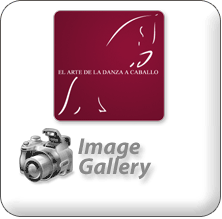 Multimedia Gallery