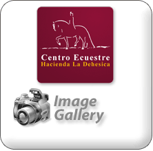 Multimedia Gallery