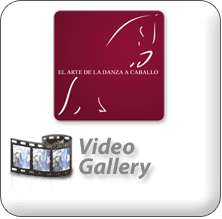 Video Gallery