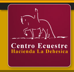 Centro Ecuestre | danzacaballo.es